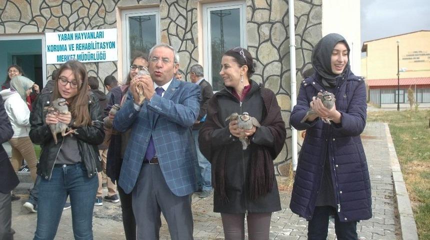 Van Yy&uuml;&rsquo;de Keklikler &Ouml;zg&uuml;rl&uuml;ğe Kanat &Ccedil;ırptı