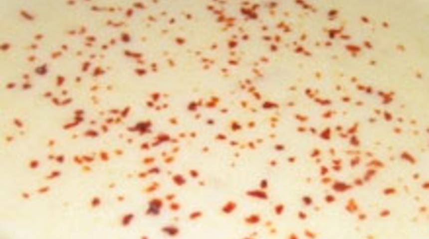 Kremalı Mısır &Ccedil;orbası