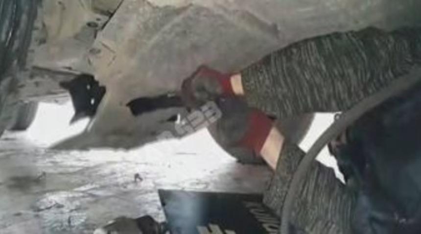 Soğuktan Kedi Dondu