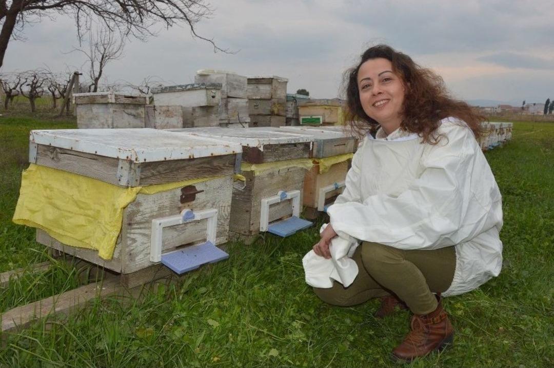 Şehir Hayatından Sıkıldı Arı Yetiştiriciliği Kursuna Katıldı