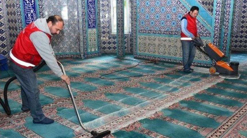 Camiler G&uuml;l Kokacak