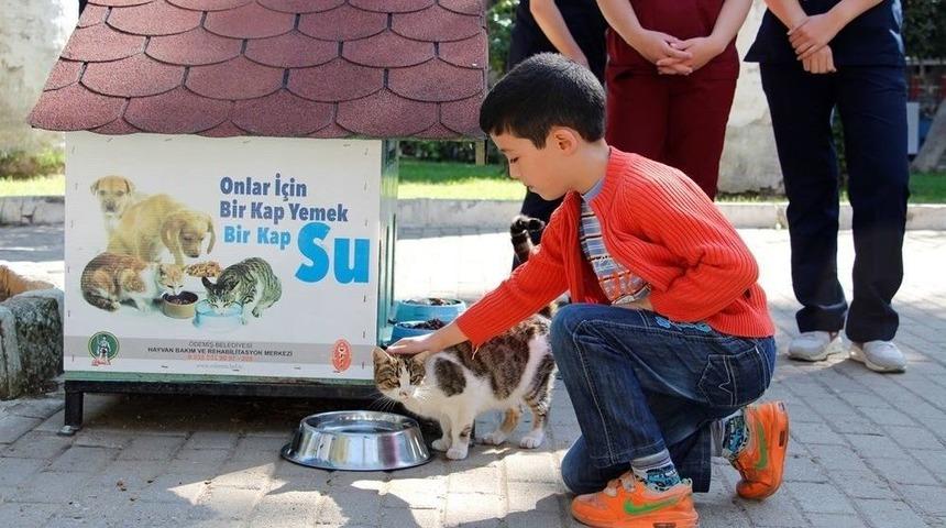 &Ouml;demişliler, Sokak Hayvanları İ&ccedil;in Seferber Oldu