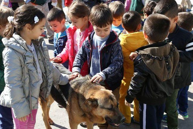 Başkent’te Hayvanlar İçin “toplu Sahiplendirme Töreni” Düzenlendi