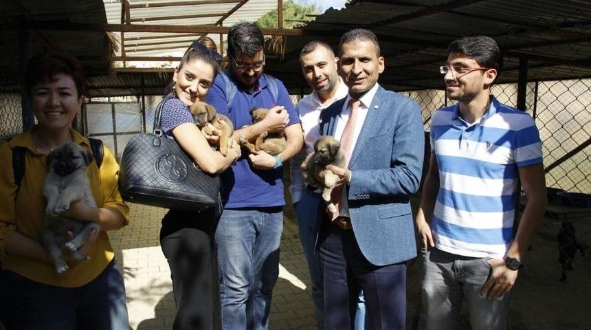 Er: "hayvanları Sevenler, Yaşamayı Severler"