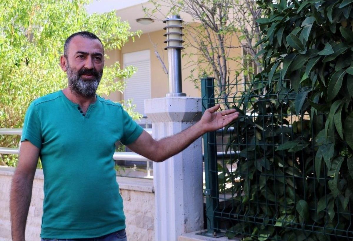 Antalya&rsquo;da K&ouml;peklerin Katledilmesi