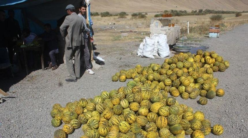 Tutak&rsquo;ta Bal Ve Kavuna Yoğun İlgili