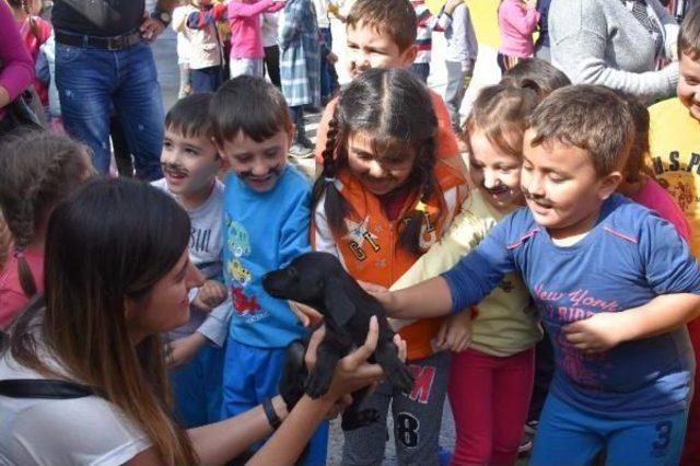 Öğrenciler, Bakımevindeki Hayvanları Ziyaret Etti