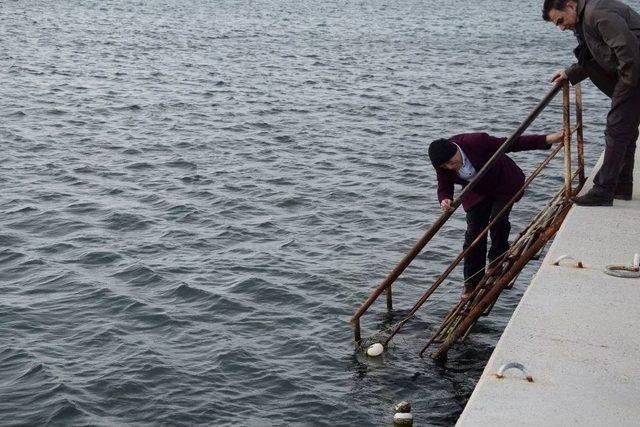 Baski&rsquo;den G&ouml;me&ccedil;&rsquo;te İnceleme 1
