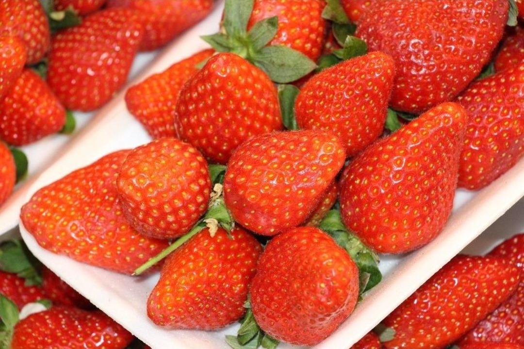 Tanesi 10, Kilosu 600 Lira