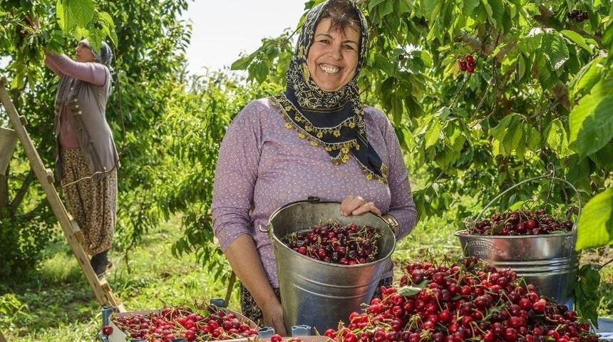 Tarıma İzmir Re&ccedil;etesi