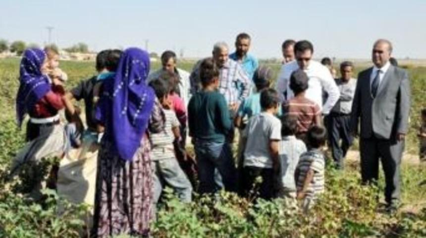 970 &Ouml;ğrenci Okula Kazandırıldı