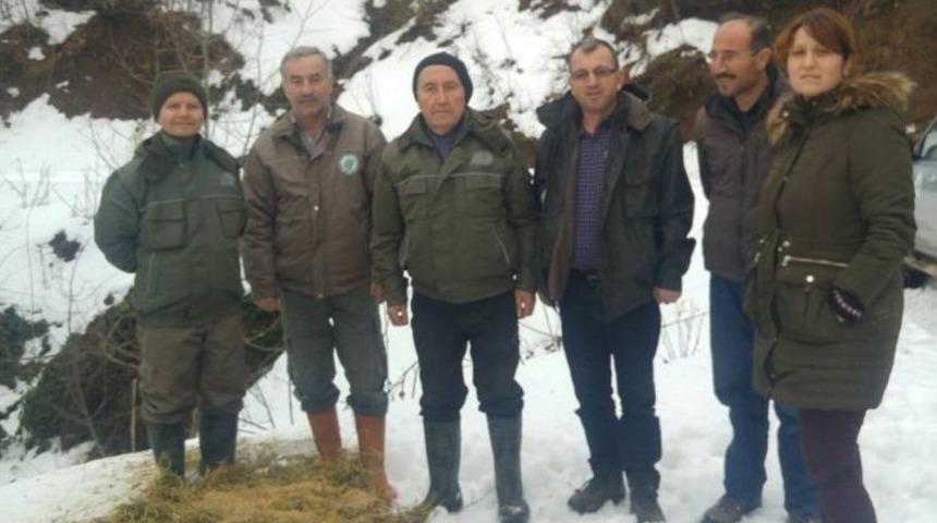 Düzce’de Yabani Hayvanlar İçin Yem Bırakıldı