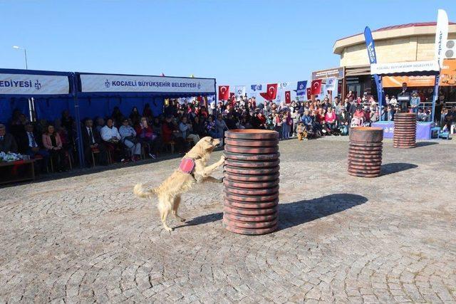 4 Ekim D&uuml;nya Hayvanları Koruma G&uuml;n&uuml;, Kocaeli&rsquo;de Kutlandı 1