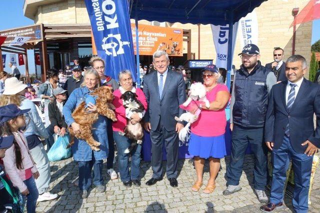 4 Ekim D&uuml;nya Hayvanları Koruma G&uuml;n&uuml;, Kocaeli&rsquo;de Kutlandı 2