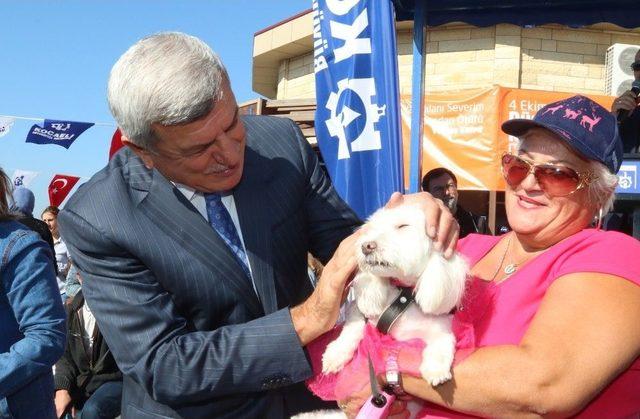 4 Ekim D&uuml;nya Hayvanları Koruma G&uuml;n&uuml;, Kocaeli&rsquo;de Kutlandı 3