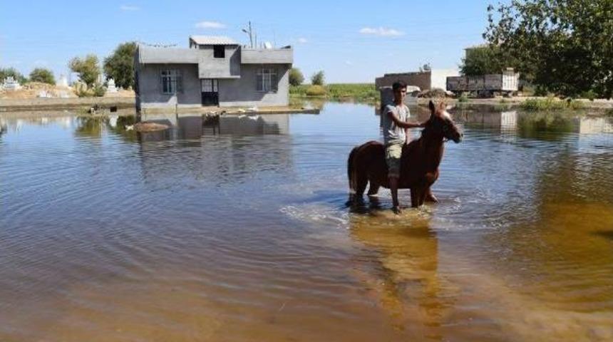 Suru&ccedil;'ta Taban Suyu Tedirginliği S&uuml;r&uuml;yor