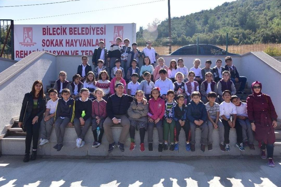 Hayvan Barınağı Bu Sefer Kedi, K&ouml;pek Sesinin Yanı Sıra &Ccedil;ocuk Sesleri &Ccedil;ınlattı