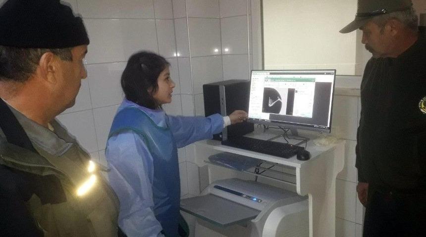 Otomobilin &Ccedil;arptığı Karaca Telef Oldu