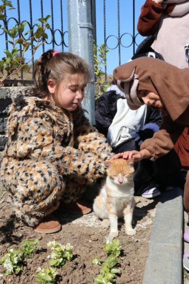 Samsun'da 3 Bin Kedi- Köpek Sahiplendirildi