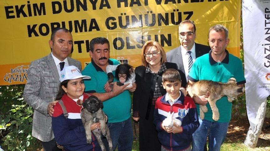 Şempanze Can Ve Aslan Yavrusu Cesur &Ouml;ğrencileri Ağırladı