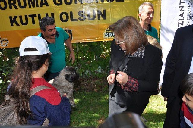 Şempanze Can Ve Aslan Yavrusu Cesur Öğrencileri Ağırladı