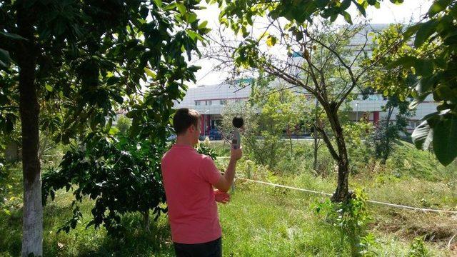 Sakarya’nın Gürültü Haritası Hazır