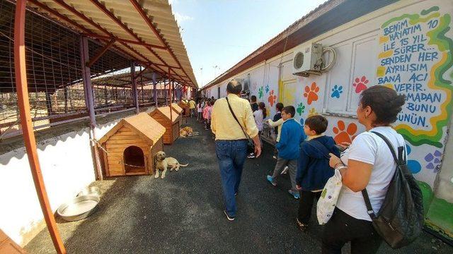 Hayvan Koruma Gününde Barınaklar Ziyaretçi Akınına Uğradı