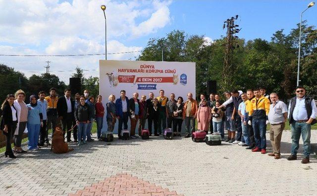 Sahiplendirilen 205 Sokak Hayvanına Ücretsiz Sağlık Kontrolü