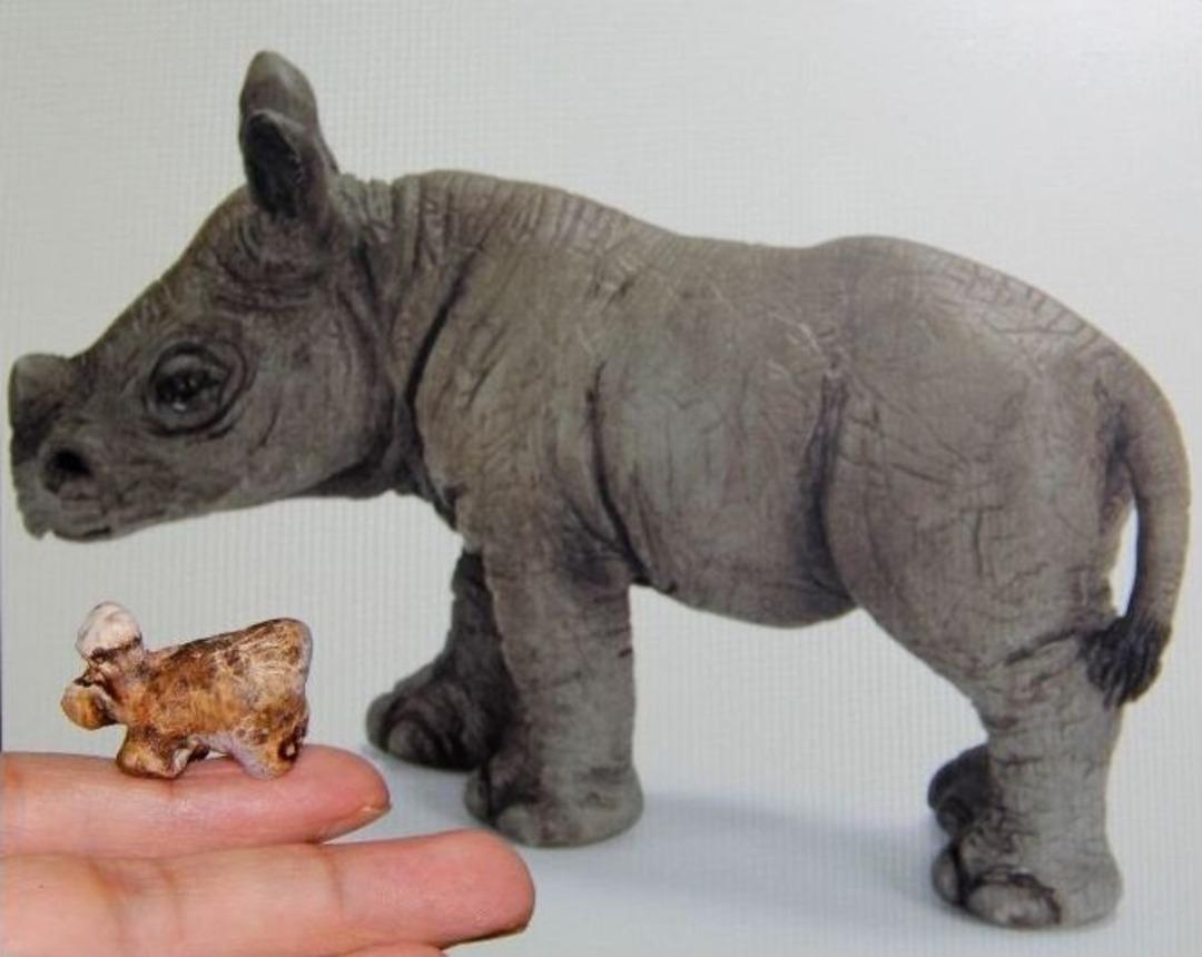 (&ouml;zel Haber) Erdoğan&rsquo;ın Talimatıyla A&ccedil;ılan Hastane Sudan&rsquo;a Umut Oldu