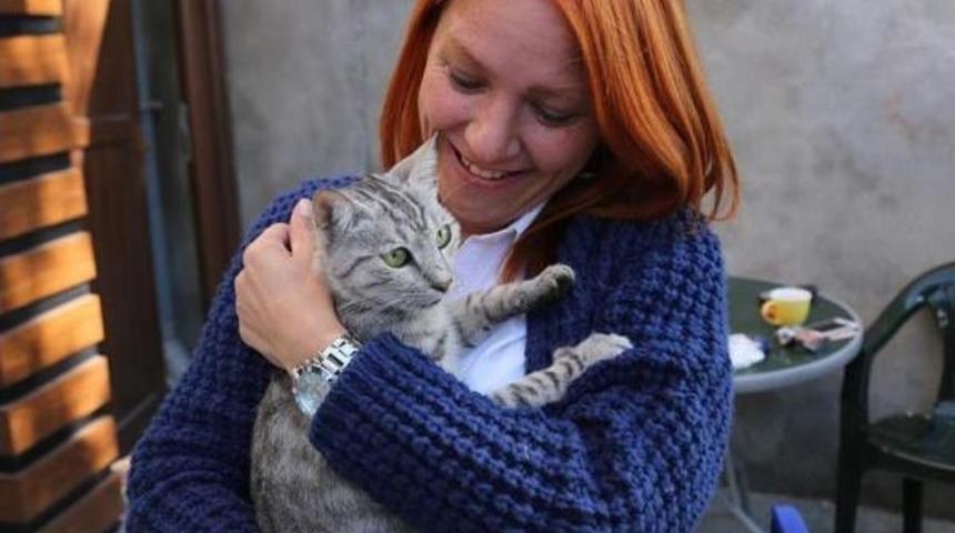 Ağa&ccedil;ta Mahsur Kalan Kediyi Itfaiye Kurtardı