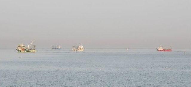 Batı Karadeniz’de Balıkçılar Dip Avcılığına Yöneldi