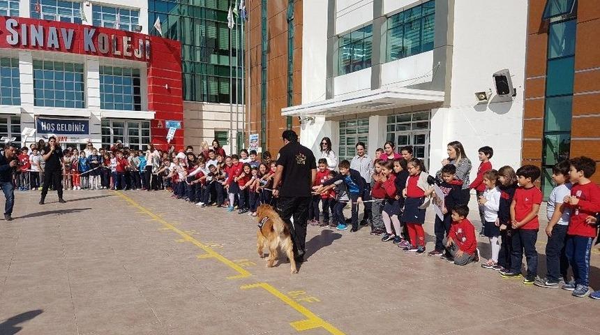 Miniklerden K9&rsquo;lara Yoğun İlgi