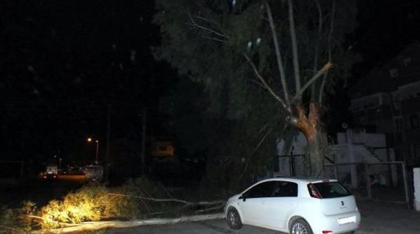 Fırtına Ve Yağmur Marmaris'te Hayatı Olumsuz Etkiledi