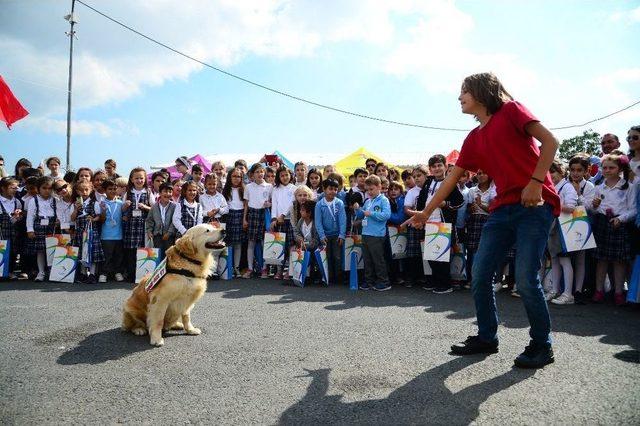 Hayvan Sevgileri, Can Dostlarını Mutlu Etti