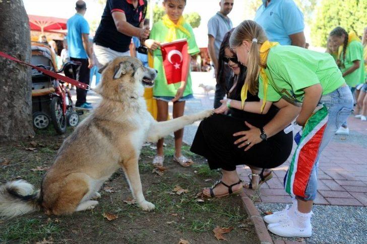 Manavgat Belediyesi’nden Hayvanları Koruma Günü Yürüyüşü G1