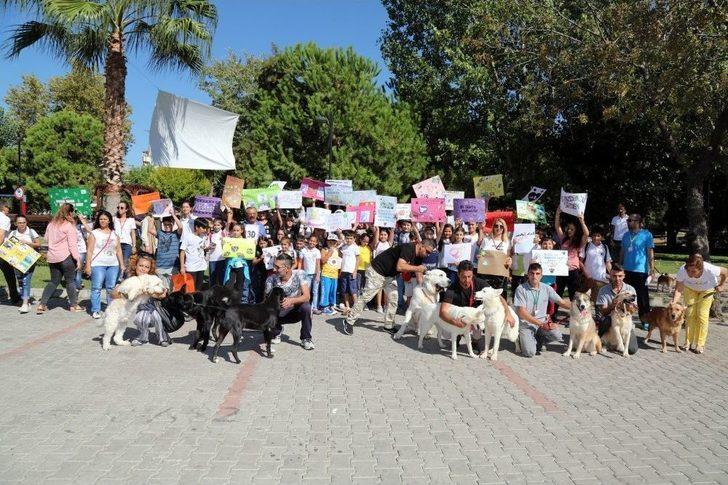 Manavgat Belediyesi’nden Hayvanları Koruma Günü Yürüyüşü G4
