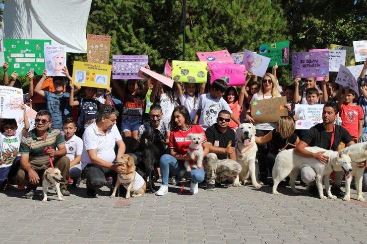 Manavgat Belediyesi’nden Hayvanları Koruma Günü Yürüyüşü G5