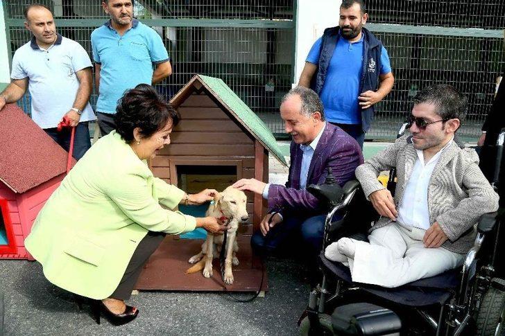 Hayvanların Yuvalarını Ünlü İsimler Tasarladı, Engelliler Hayata Geçirdi G1