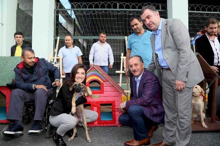 Hayvanların Yuvalarını Ünlü İsimler Tasarladı, Engelliler Hayata Geçirdi G2