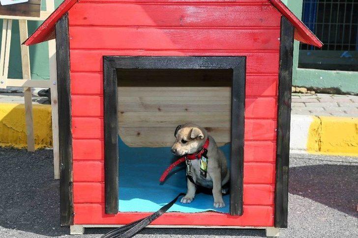 Hayvanların Yuvalarını Ünlü İsimler Tasarladı, Engelliler Hayata Geçirdi G4