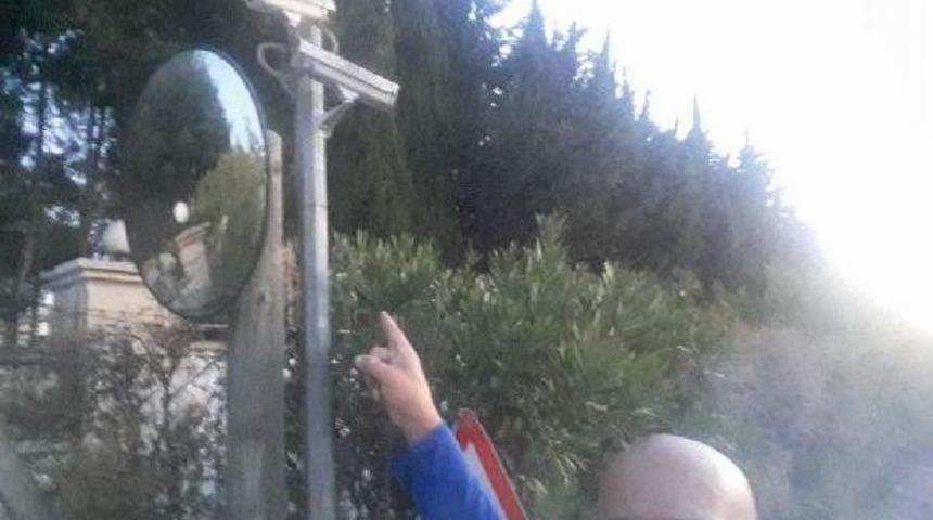 4 K&ouml;pek Zehirlenerek &Ouml;ld&uuml;r&uuml;ld&uuml;