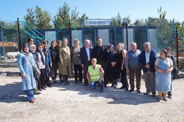 Lapseki’de Dünya Hayvanları Koruma Günü Etkinlikleri