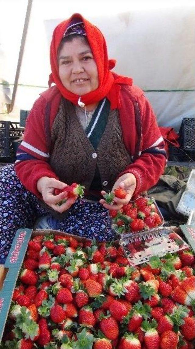 (özel Haber) Silifkeli Çilek Üreticileri, Tarlada El Açıp Rusya İçin Dua Ettiler