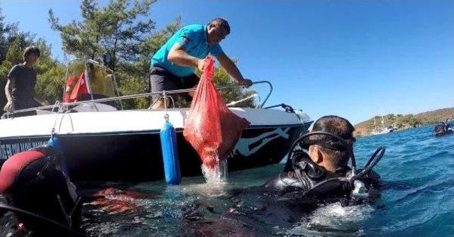 Bodrum'da Başkan Kocadon, Dalgıçlarla Deniz Dibi Temizliği Yaptı