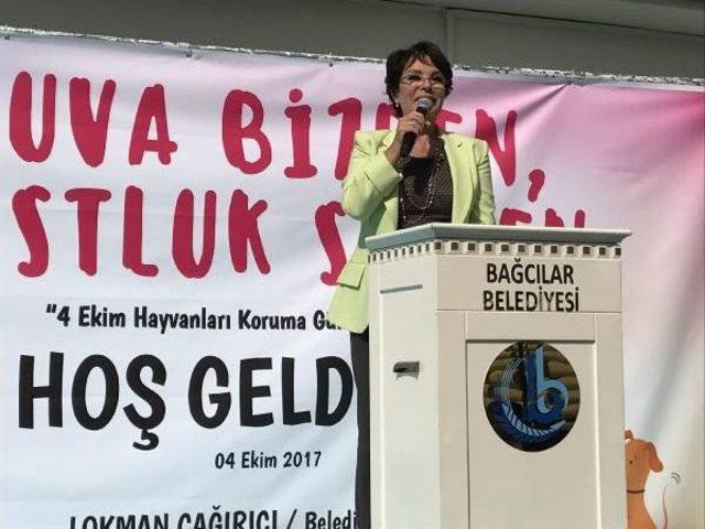 Hülya Koçyiğit Sokak Hayvanları Için Kulübe Tasarladı