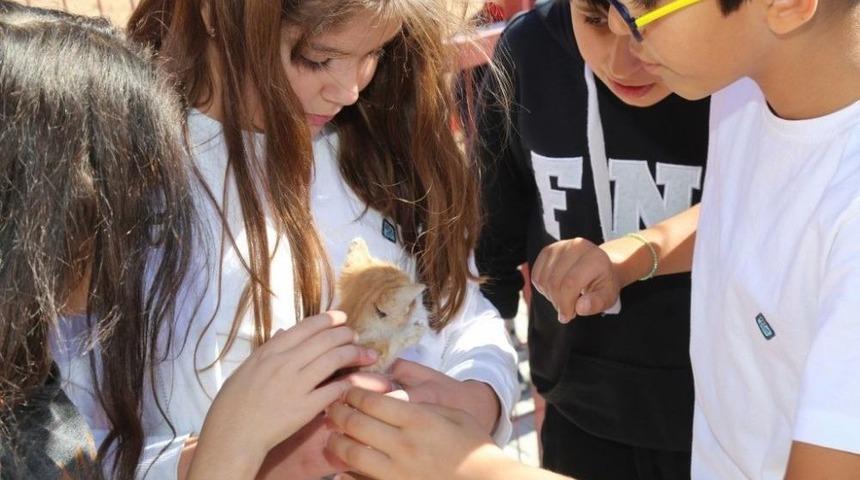 Elazığ&rsquo;da, D&uuml;nya Hayvanları Koruma G&uuml;n&uuml; Etkinlikleri