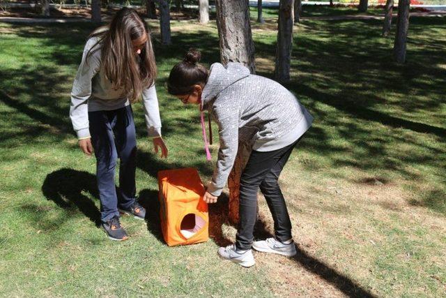 Elazığ’da, Dünya Hayvanları Koruma Günü Etkinlikleri