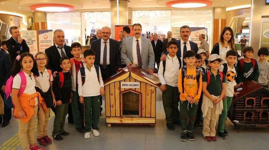 4 Ekim Hayvanları Koruma G&uuml;n&uuml;