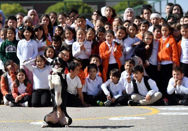 Ankara Büyükşehir Belediyesinden Hayvanları Koruma Günü Etkinliği