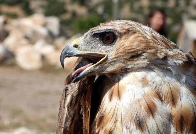 Burdur'da Hayvan Hakları Koruma Günü Kutlandı